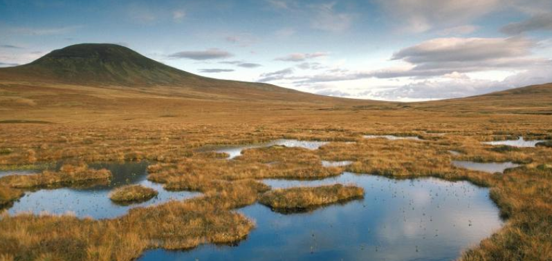 View over peatlands, looking towards a hill in the distance