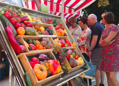 Three shoppers peruse a market vegetable stand with large tomatoes, peppers, pumpkins and courgettes.