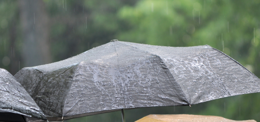 Images of people with wet umbrellas