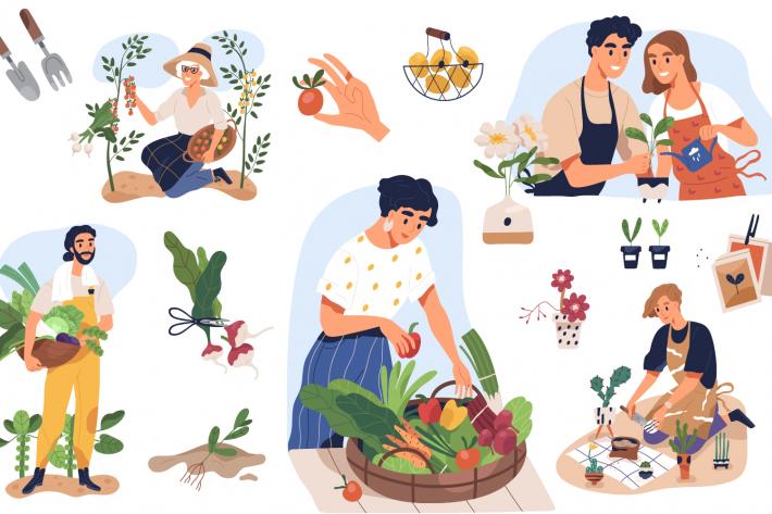 Illustration of people planting, harvesting and cooking