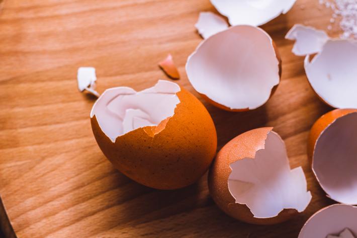 Egg shells on a wooden board