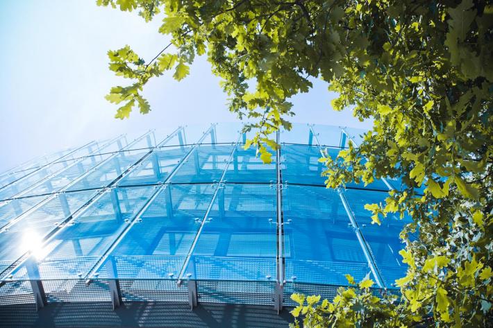 A modern glass building is seen from below, framed by leaves from a nearby tree