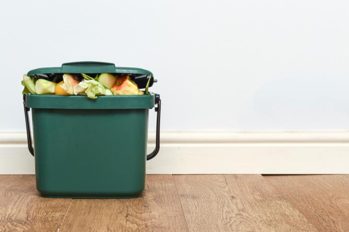 Food recycling bin