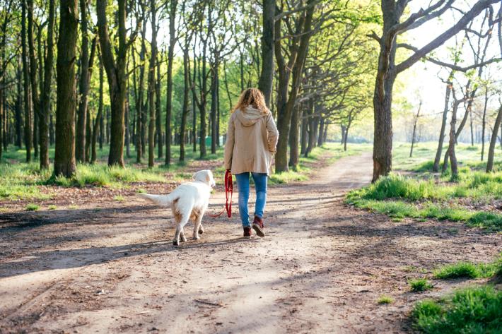 Woman walking her dog through a forest