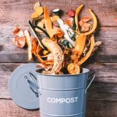 Food waste in a compost bin