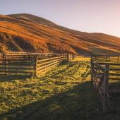 field and hills