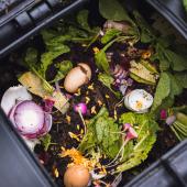 Food waste in the bin