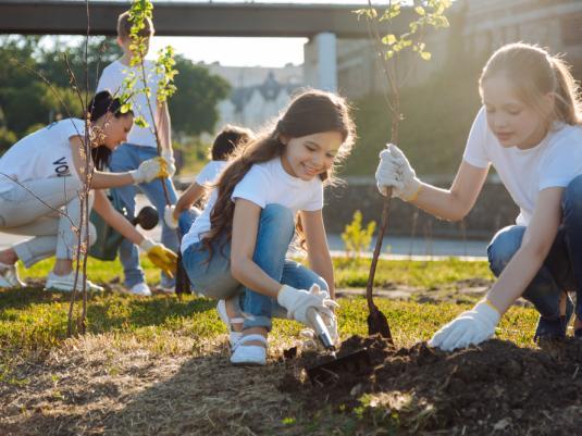 Spring gardening