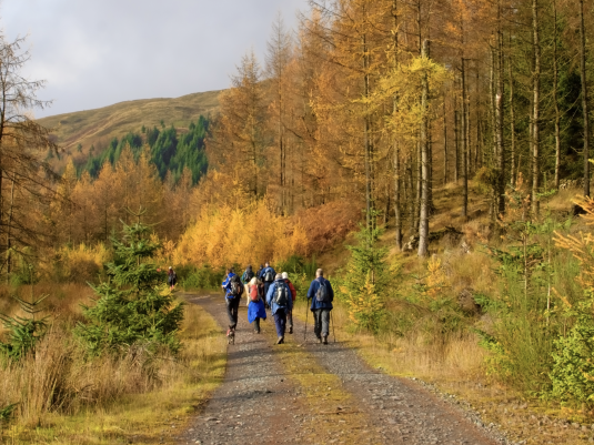 group of people walking along a path in an autumnal forest scene